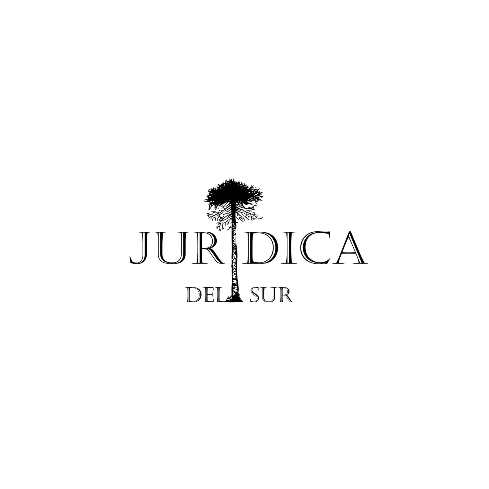 Paula Campos – Jurídica del Sur